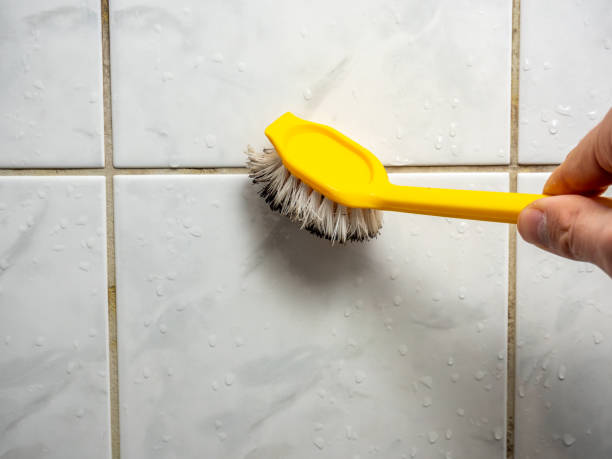 Best Industrial Mold Remediation in Long Beach, MD