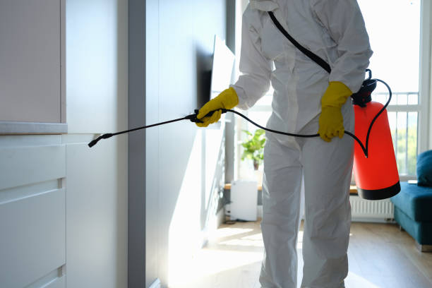 Trusted Long Beach, MD Mold Remediation Experts